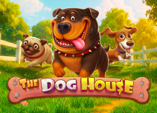 Слот The Dog House в LuckyPari